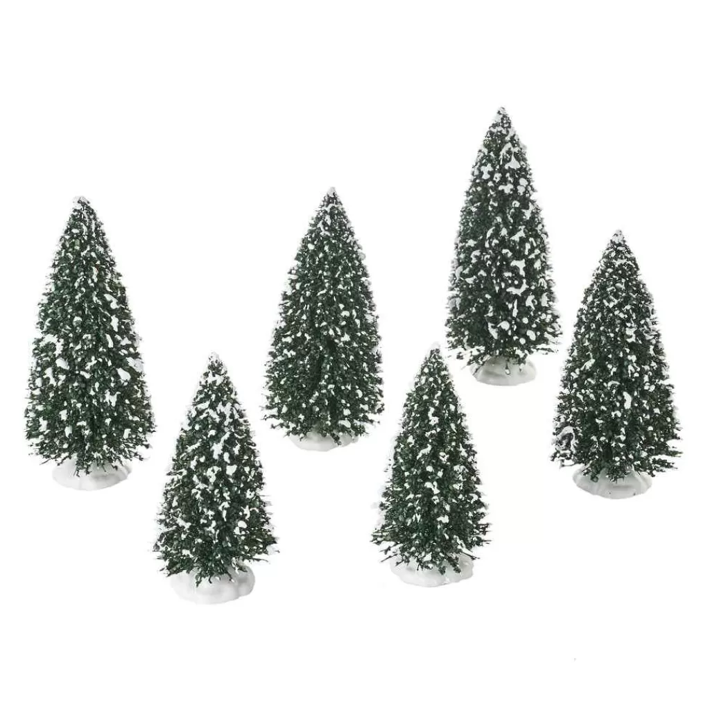 Department 56 Village Accessories-Frosted Pine Grove, Set Of 6